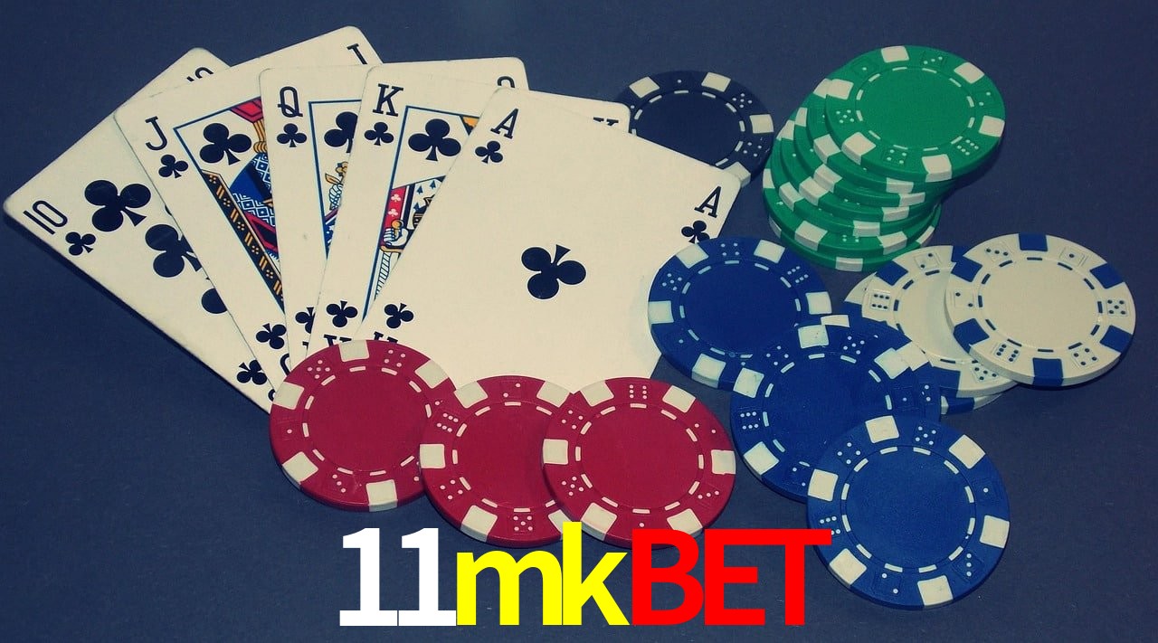Statistics 11mkbet