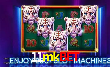 Seasonal Promotions 11mkbet